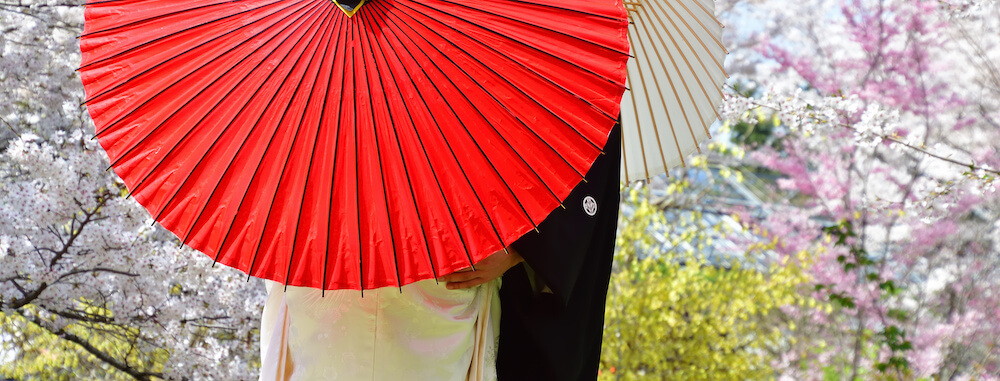 お客様の声3月桜